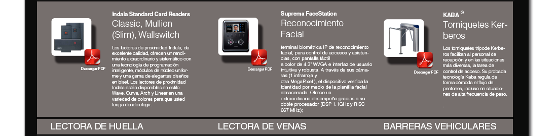 productos-insis