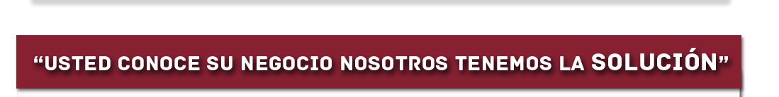 insis-usted-conoce-su-negocio